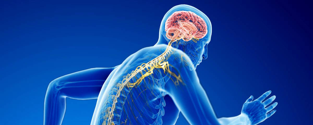 Kursbild neurozentrierte Schmerzbehandlung